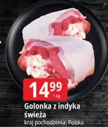E.Leclerc Golonka z indyka świeża oferta