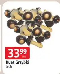 E.Leclerc Duet Grzybki Lech oferta