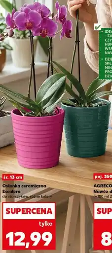 Kaufland Osłonka ceramiczna Escalera oferta