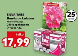Kaufland SILVA TABS Nawóz do kwiatów oferta