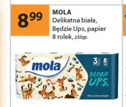 Drogerie Laboo Papier toaletowy Mola oferta