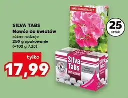 Kaufland Nawóz do kwiatów Silva Tabs oferta