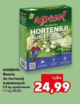 Kaufland Nawóz do hortensji bukietowych Agrecol oferta