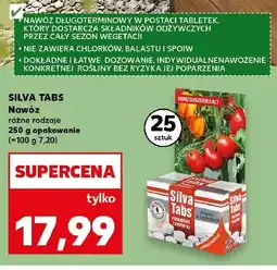 Kaufland Nawóz w tabletkach SILVA TABS oferta