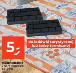 Dealz Wkłady chłodzące oferta