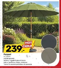 Bricomarche Parasol śr. 2,75m kształt grzybek oferta