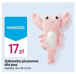 Pepco Zabawka pluszowa dla psa wymiary: 26x20x5 cm oferta