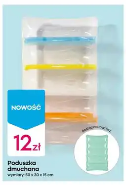 Pepco Poduszka dmuchana 50x30x15 cm oferta