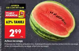 Biedronka Arbuz na wagę oferta