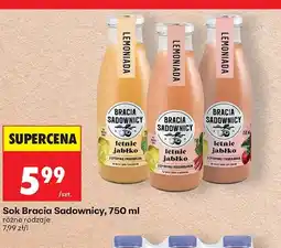 Biedronka Sok Bracia Sadownicy letnie jabłko z cytryną i mirabelką oferta