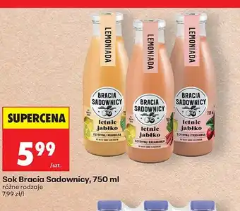Biedronka Sok Bracia Sadownicy letnie jabłko z cytryną i mirabelką oferta