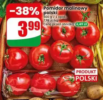 Dino Pomidor malinowy polski oferta