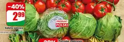 Dino Sałata lodowa oferta