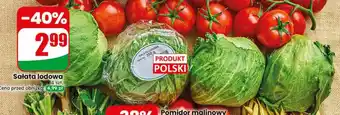 Dino Sałata lodowa oferta