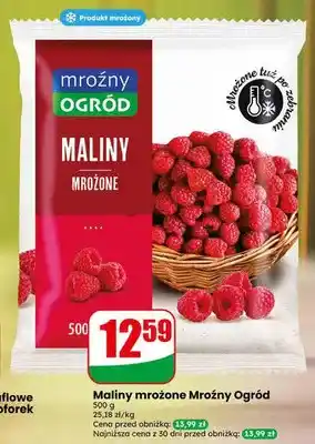 Dino Maliny mrożone Mroźny Ogród oferta