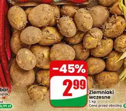 Dino Ziemniaki wczesne oferta