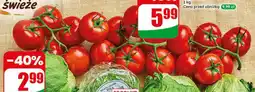 Dino Pomidor oferta