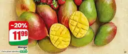 Dino Mango oferta