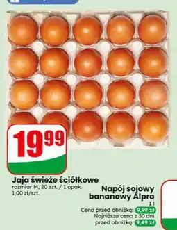 Dino Jaja świeże ściółkowe rozmiar M 20-pak oferta