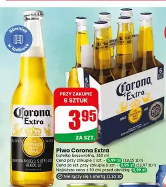 Dino Piwo Corona Extra oferta