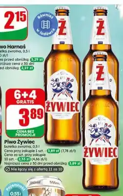 Piwo Żywiec