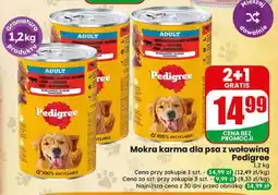 Dino Mokra karma dla psa z wołowiną Pedigree oferta