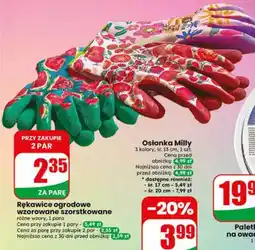 Dino Rękawice ogrodowe wzorowane szorstkowane oferta