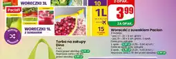 Dino Woreczki z suwakiem Paclan oferta
