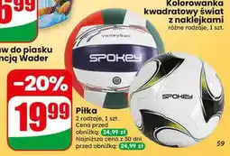 Dino Piłka Spokey oferta