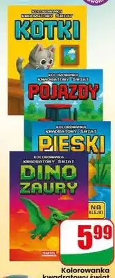 Dino Kolorowanka kwadratowy świat z naklejkami oferta