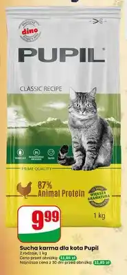Dino Sucha karma dla kota Pupil Classic Recipe oferta