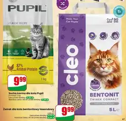 Dino Żwirek dla kota bentonitowy lawendowy Cleo Compact oferta