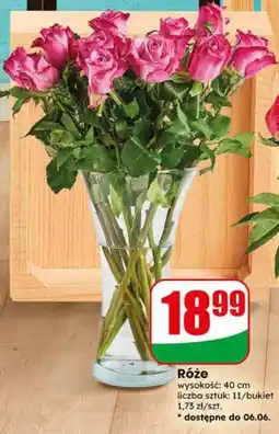 Dino Róże bukiet oferta