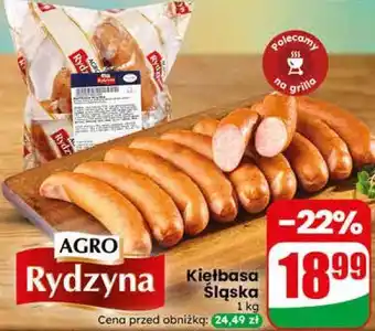 Dino Kiełbasa Śląska Rydzyna oferta