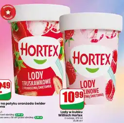 Dino Lody w kubku Willisch Hortex oferta