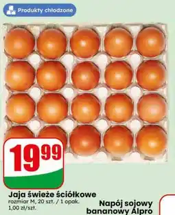 Dino Jaja świeże ściółkowe oferta
