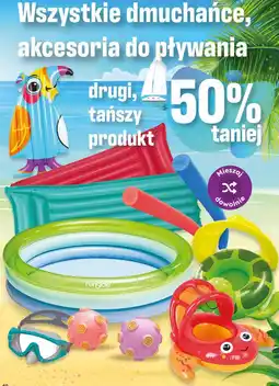 Dino Wszystkie dmuchańce, akcesoria do pływania oferta