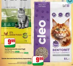 Dino Żwirek dla kota bentonitowy lawendowy Cleo oferta
