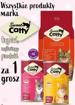 Dino Wszystkie produkty marki Sweet Catty oferta