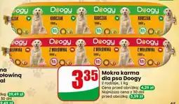 Dino Mokra karma dla psa Doogy oferta