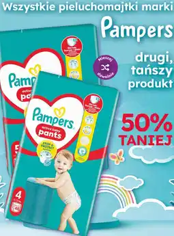 Dino Pieluchomajtki Pampers oferta