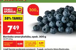 Biedronka Borówka amerykańska, opak oferta
