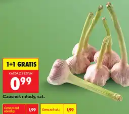 Biedronka Czosnek młody, szt oferta