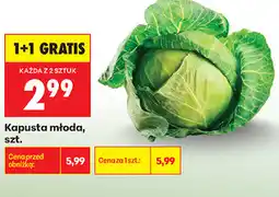 Biedronka Kapusta młoda, szt oferta
