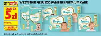 Biedronka Wszystkie pieluszki Pampers Premium Care oferta