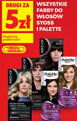 Biedronka Farby do włosów Syoss i Palette oferta