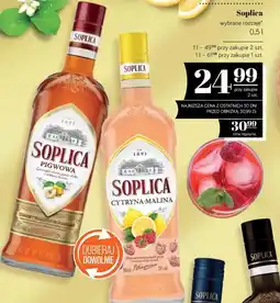 Polomarket Soplica wybrane rodzaje oferta