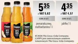 Eurocash Nektar: Cappy jabłko oferta