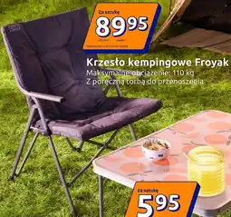 Action Krzesło kempingowe Froyak oferta