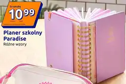 Action Planer szkolny Paradise oferta
